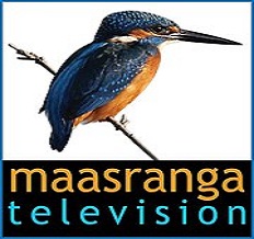 Maasranga Tv